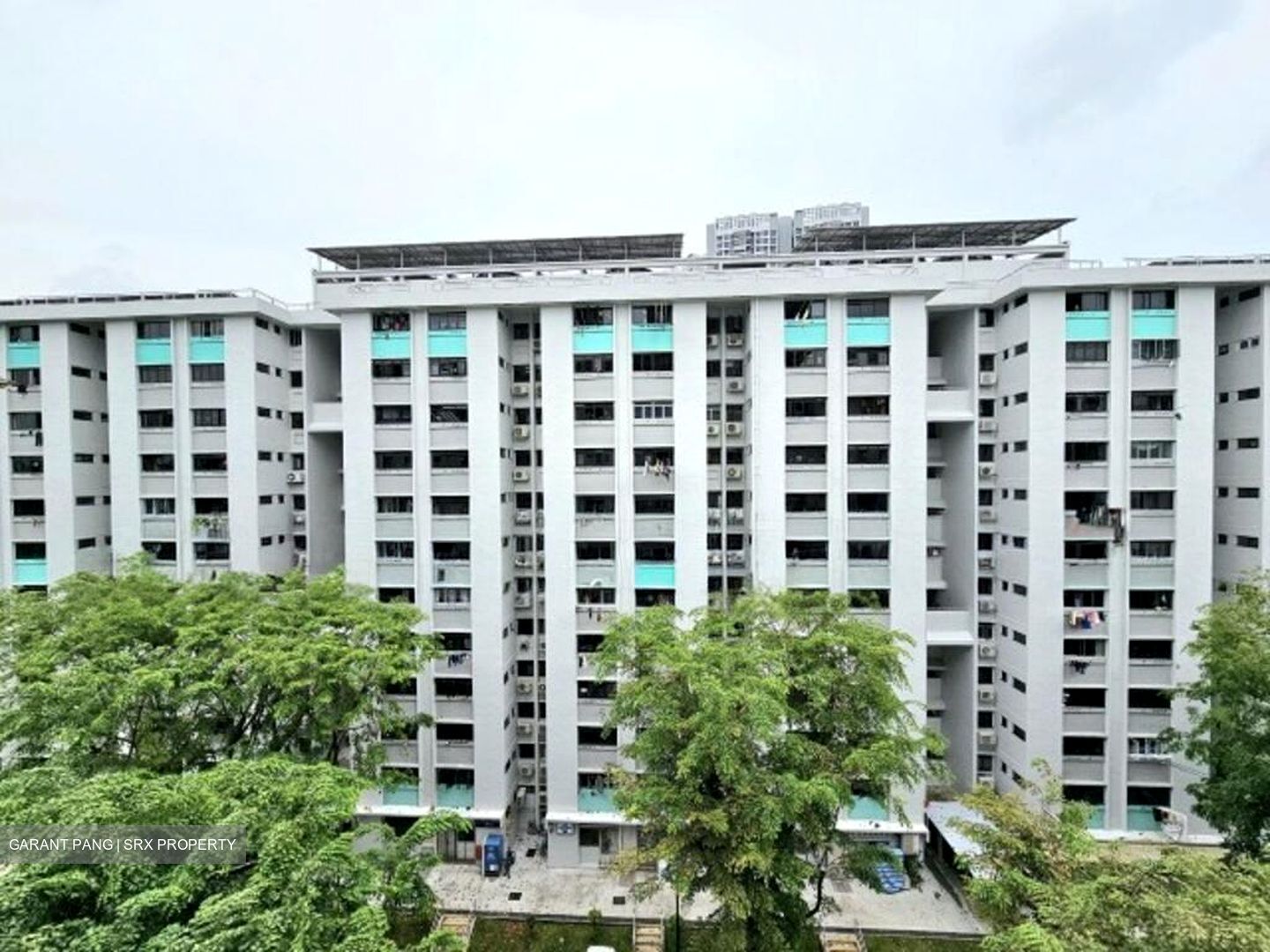 Blk 307 Clementi Meadows (Clementi), HDB 3 Rooms #523419981